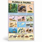 Flora and Fauna Chart